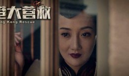 电影同道在线观看,网络世界的情感共鸣之旅